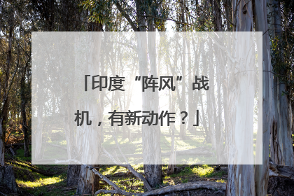 印度“阵风”战机，有新动作？